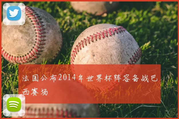 法国公布2014年世界杯阵容备战巴西赛场