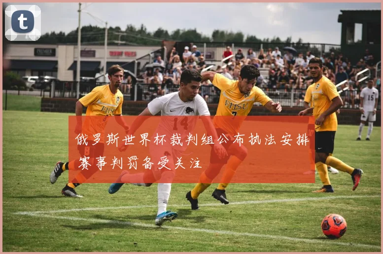 俄罗斯世界杯裁判组公布执法安排 赛事判罚备受关注