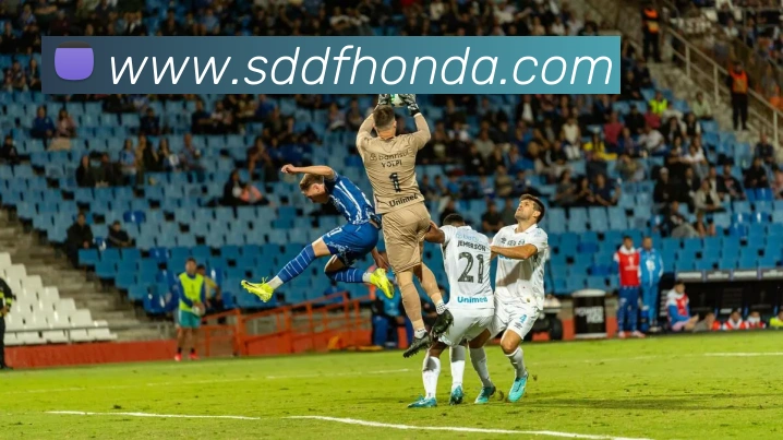 开云app在线网页版入口发展历程