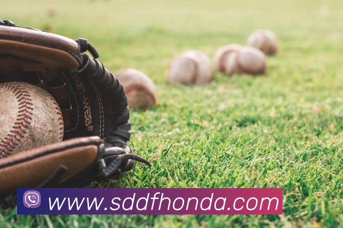 奖项证书